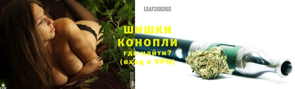 шишки Балахна