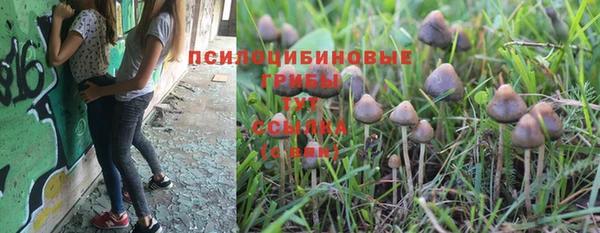 шишки Балахна