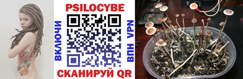 наркотики  Няндома  Псилоцибиновые грибы прущие грибы 